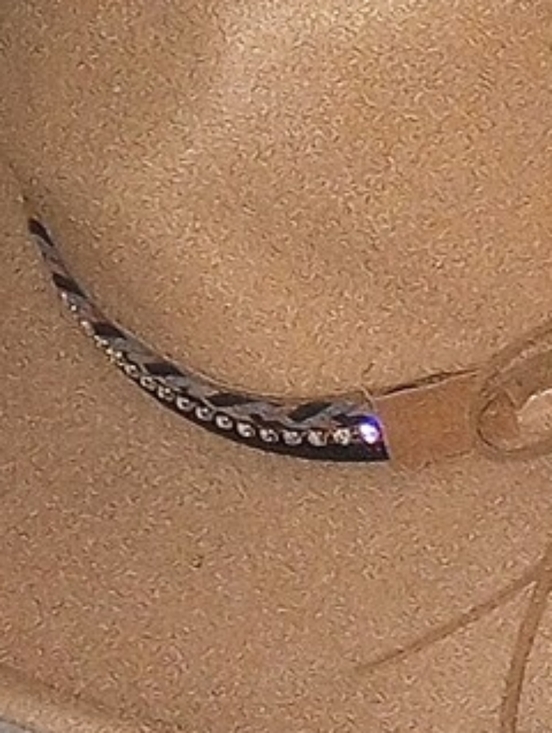 Stylish Brown Women's Felt Hat with Braided & Rhinestone Band - Picture 4 of 6